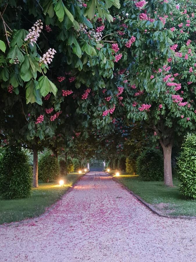 Hotel Le Manoir Des Marronniers Sully  Esterno foto