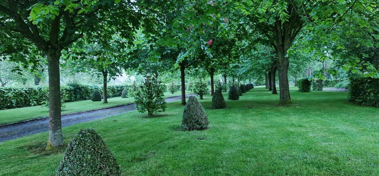 Hotel Le Manoir Des Marronniers Sully  Esterno foto