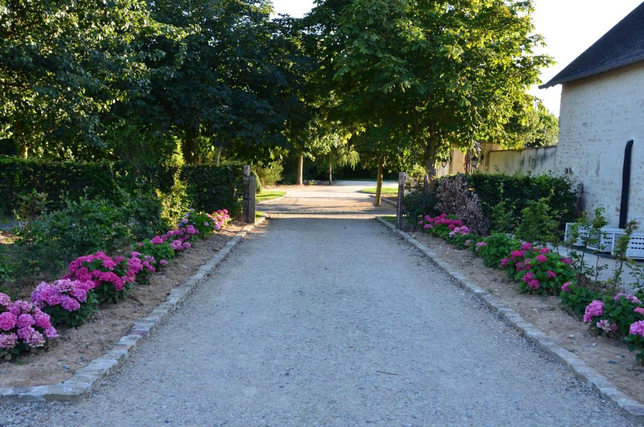 Hotel Le Manoir Des Marronniers Sully  Esterno foto